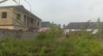 Half Plot Of Land with Solid Foundation & German Floor