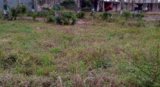 Compact Quarter Plot Of Land