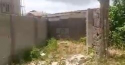 Half Plot of Land with Registered Survey