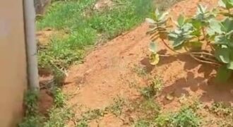 Compact Quarter Plot Of Land