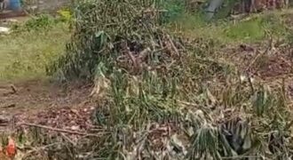 Affordable Land with Solid Bungalow Structure