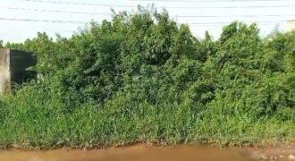 Full Plot Of Land with C of O