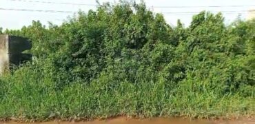 Full Plot Of Land with C of O