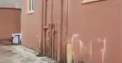 Massive 12 Bedroom Block of Flats