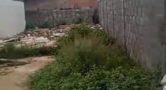 Developing 186 Sqm of Land