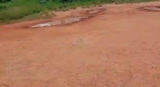 Affordable Half Plot of Land In Prime Location