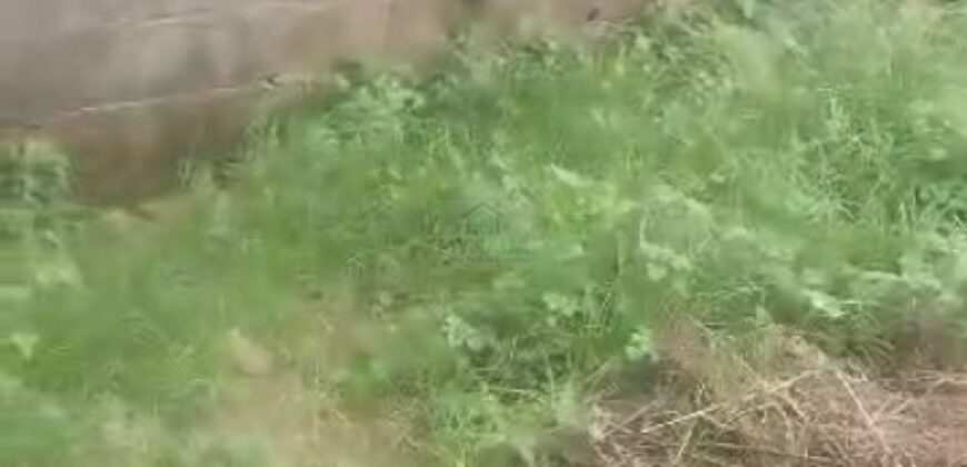 Affordable Fenced Land