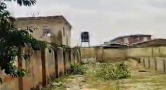 Standard Half Plot of Land