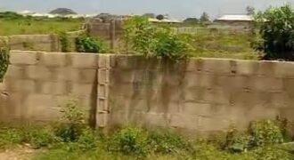Perfect 2 Plots of Land in A Sweet Spot