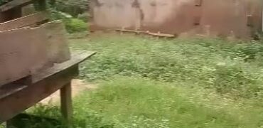 Rebuildable Mini Flat on Half Plot of Land