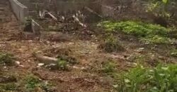 Peaceful Full Plot Of Land