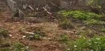 Peaceful Full Plot Of Land