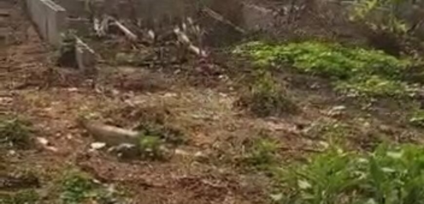 Peaceful Full Plot Of Land